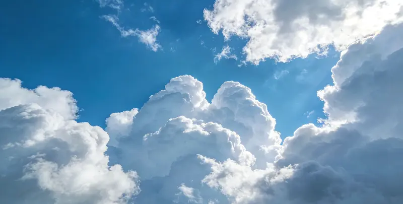 肺癌（EGFR T790M)突变检测图2