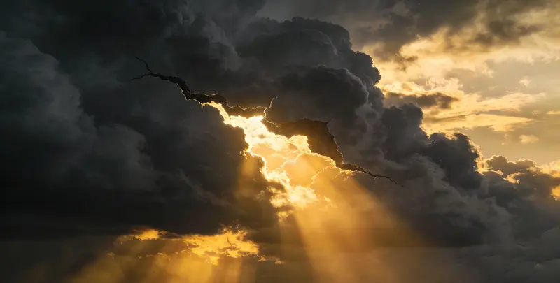 深圳肺癌靶向39基因检测（组织）图片1