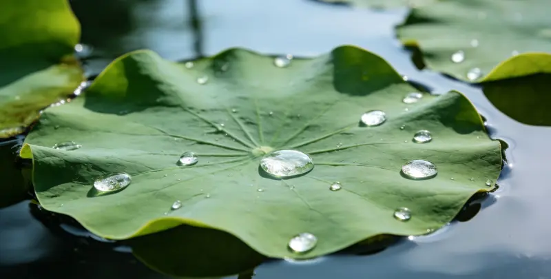 深圳乳腺癌21基因mRNA表达分析图片1