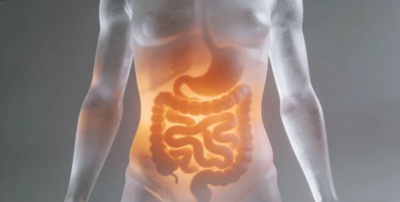 深圳胃癌分子分型基因检测项目（组织）图片1